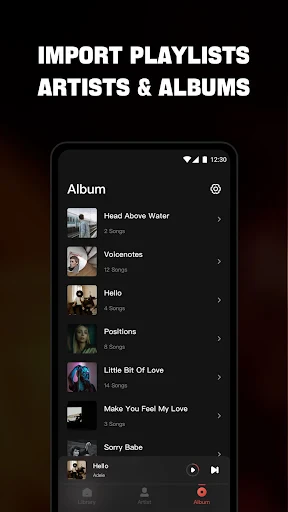 Offline Music Player - Mixtube screenshot