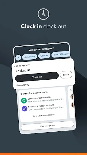 Paylocity screenshot