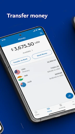 PayPal Business screenshot