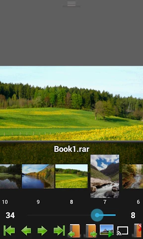 Perfect Viewer PDF&DJVU Plugin screenshot