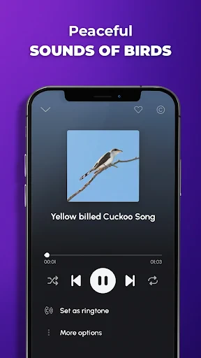 Phone Ringtones screenshot