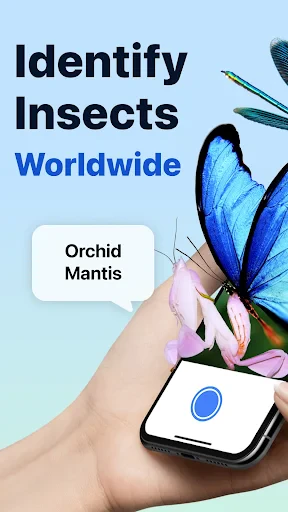 Picture Insect: Bug Identifier screenshot