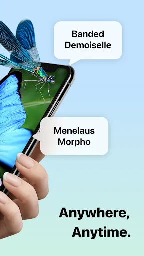 Picture Insect: Bug Identifier screenshot