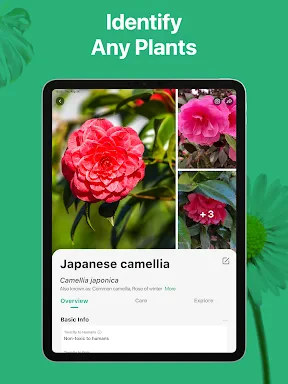 PictureThis - Plant Identifier screenshot