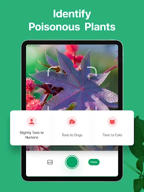 PictureThis - Plant Identifier screenshot