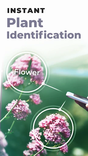 PlantSnap: plant identifier screenshot