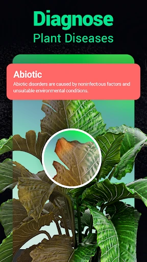 Plantum - Plant Identifier screenshot