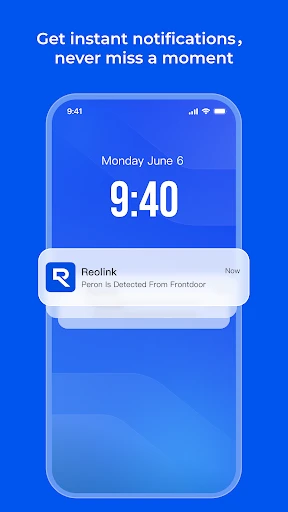 Reolink screenshot