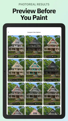 Repaint House Paint Visualizer screenshot
