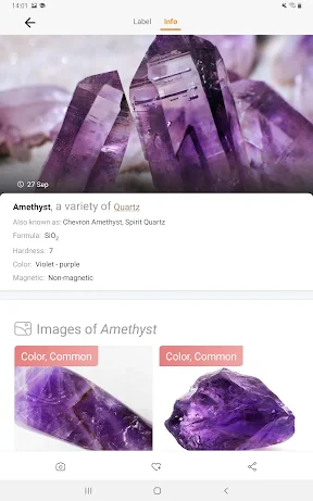 Rock Identifier: Stone ID screenshot