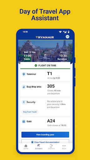 Ryanair screenshot
