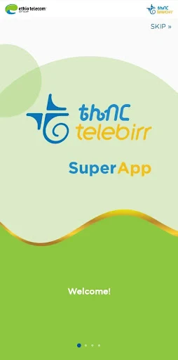 telebirr screenshot