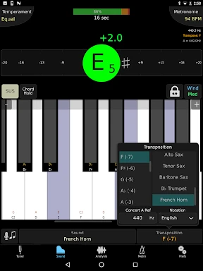 TonalEnergy Tuner & Metronome screenshot