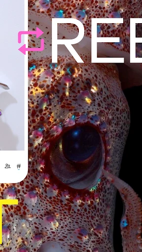 Tumblr—Fandom, Art, Chaos screenshot