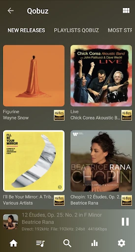 USB Audio Player PRO screenshot