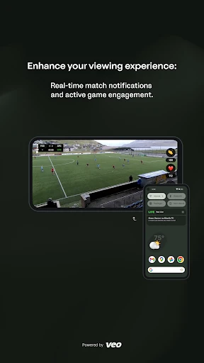 Veo Live screenshot