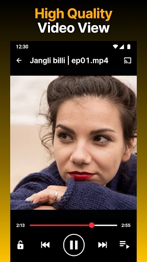 Video Downloader HD - Vidow screenshot