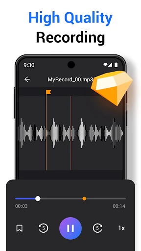 Voice Recorder Sound Memo Pro screenshot