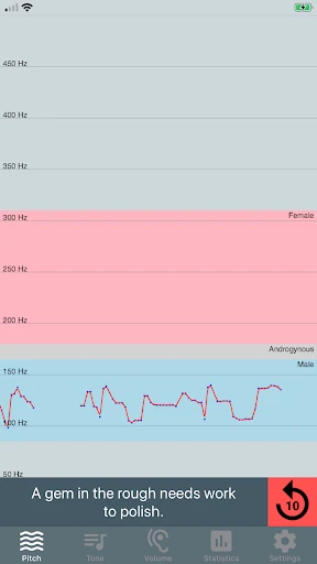Voice Tools screenshot
