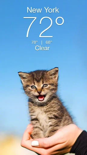 Weather Kitty - App & Widget screenshot