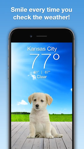 Weather Puppy - App & Widget screenshot