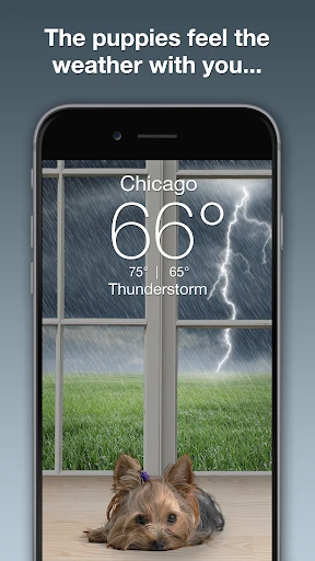 Weather Puppy - App & Widget screenshot