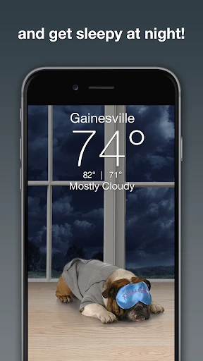 Weather Puppy - App & Widget screenshot