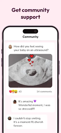 WeMoms Pregnancy Baby Tracker screenshot
