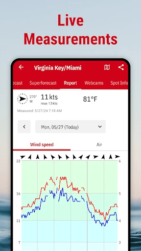 Windfinder: Wind & Weather map screenshot