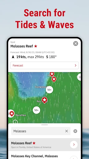 Windfinder: Wind & Weather map screenshot