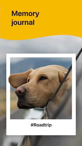 Woofz - Puppy and Dog Training screenshot