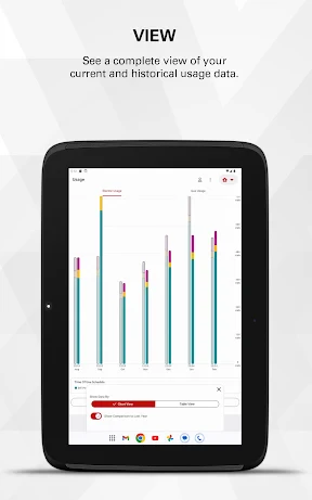 Xcel Energy screenshot