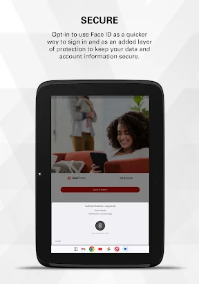 Xcel Energy screenshot