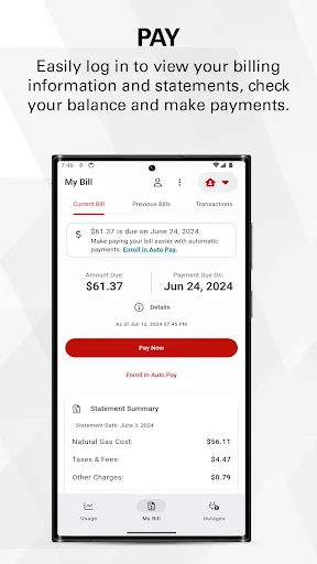 Xcel Energy screenshot