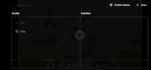 ZoZo Player - URL Video Player screenshot