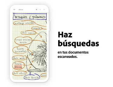 Adobe Acrobat Reader para PDF screenshot