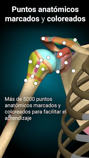 Anatomy Learning - Anatomía 3D screenshot
