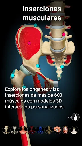 Anatomy Learning - Anatomía 3D screenshot