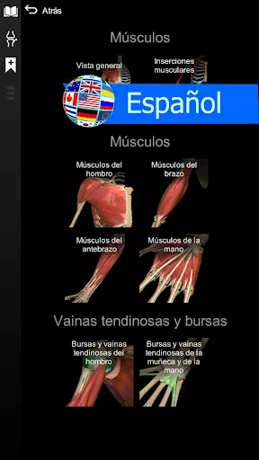 Anatomy Learning - Anatomía 3D screenshot
