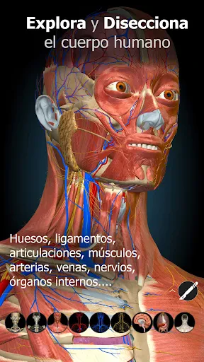 Anatomy Learning - Anatomía 3D screenshot
