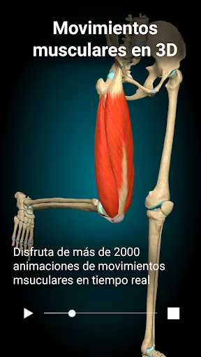 Anatomy Learning - Anatomía 3D screenshot