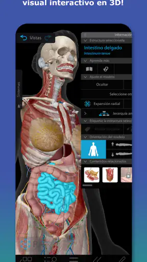 Atlas de anatomía humana 2026 screenshot