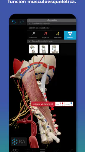 Atlas de anatomía humana 2026 screenshot