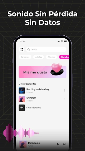 Audio Insight - Offline Music screenshot