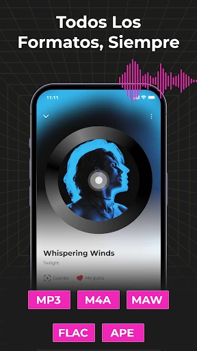 Audio Insight - Offline Music screenshot