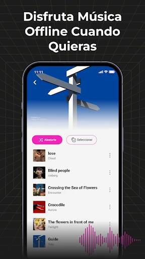 Audio Insight - Offline Music screenshot