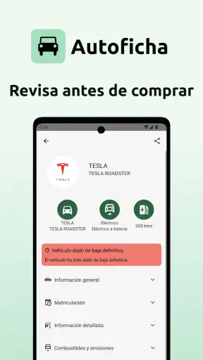 Autoficha - Informe DGT screenshot