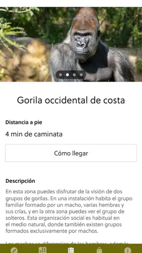 Bioparc Valencia screenshot