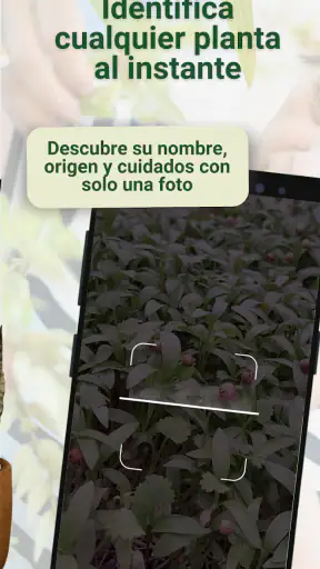 Broticola - Identifica plantas screenshot