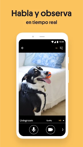 Camara de Seguridad, camara ip screenshot